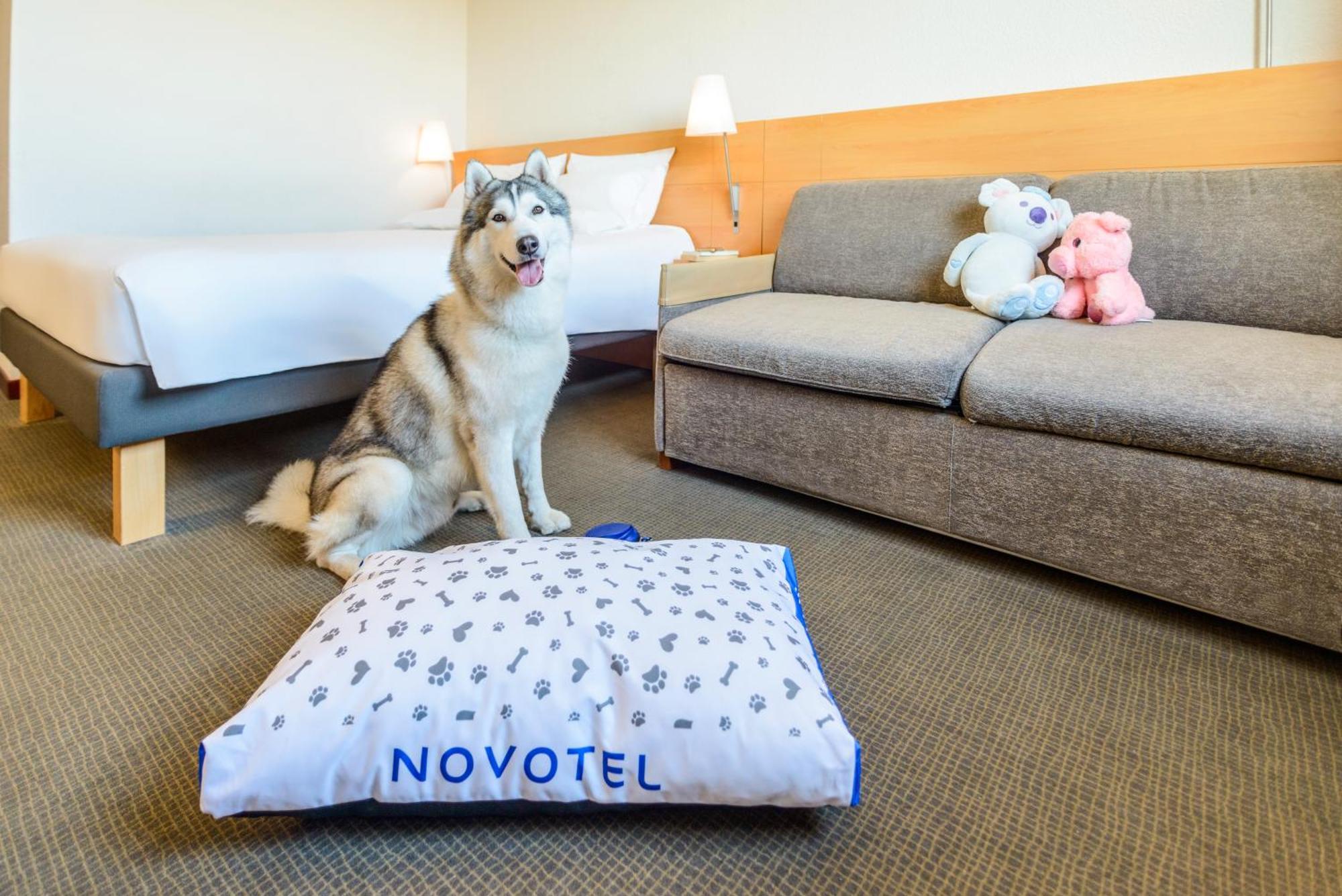 Novotel Torino Corso Giulio Cesare Ngoại thất bức ảnh